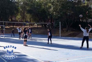 voleibol-alto-macul-mini